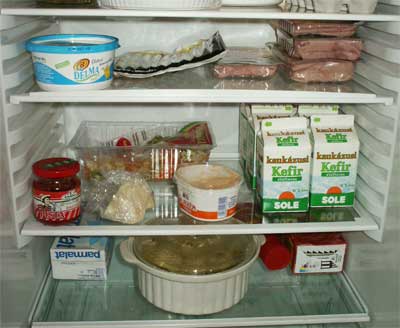 frigider-interior